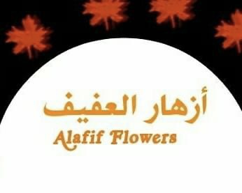 أزهار العفيف Alafif Flowers